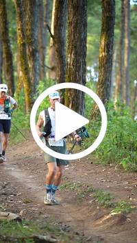 BIB:  <button type="button" onclick="openModal(27339737)" class="btn btn-primary btn-sm float-right" data-toggle="modal" data-target=".modal-high-quality">
                <i class="fa fa-download"></i> Download
                </button>